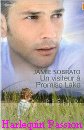 Couverture du livre intitulé "Un visiteur à Promise Lake (A forever family)"