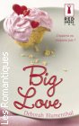Couverture du livre intitulé "Big Love (Fat Chance)"