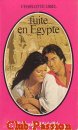 Couverture du livre intitulé "Fuite en Egypte"